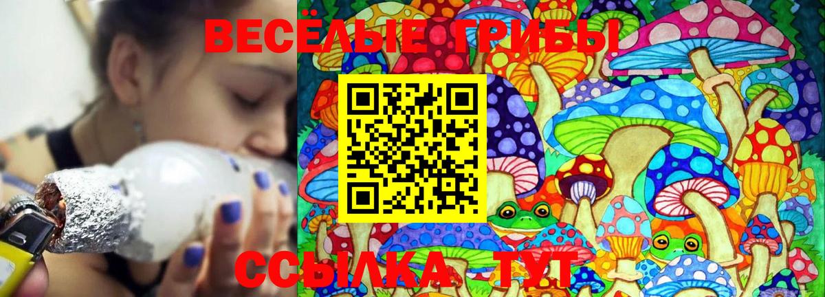Галлюциногенные грибы GOLDEN TEACHER  Вход с VPN  Костомукша  где продают   Псилоцибиновые грибы Cubensis 
