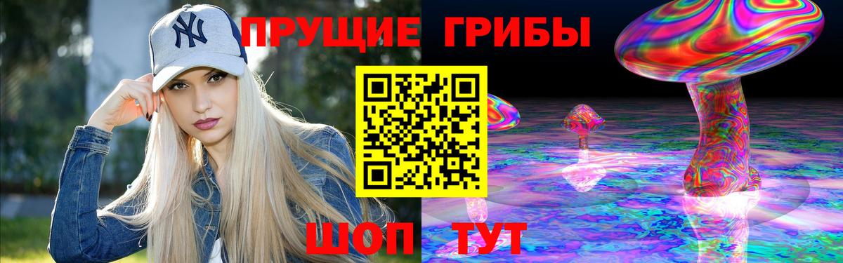Псилоцибиновые грибы Cubensis Костомукша